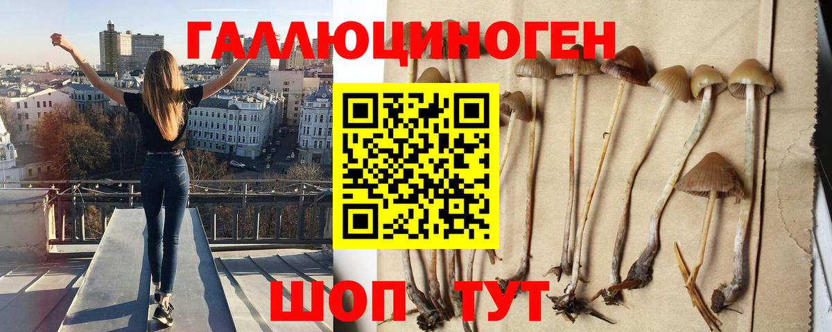 Галлюциногенные грибы мицелий  Галлюциногенные грибы MAGIC MUSHROOMS  Вход с VPN  Рассказово 