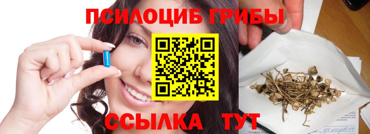 Псилоцибиновые грибы Psilocybe Рассказово